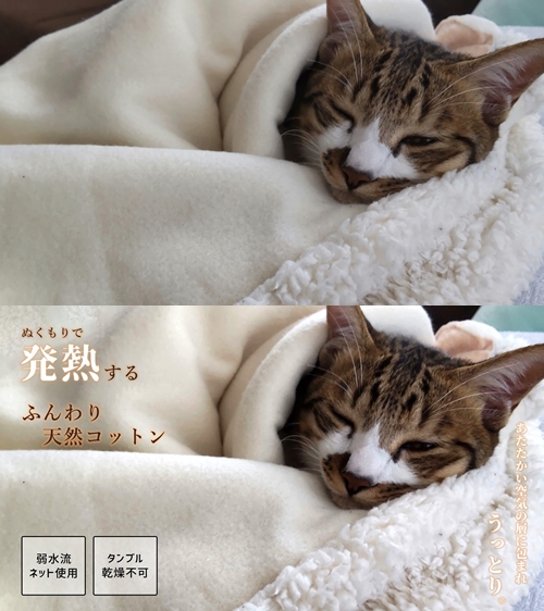 ﾈｺﾁｬﾝ